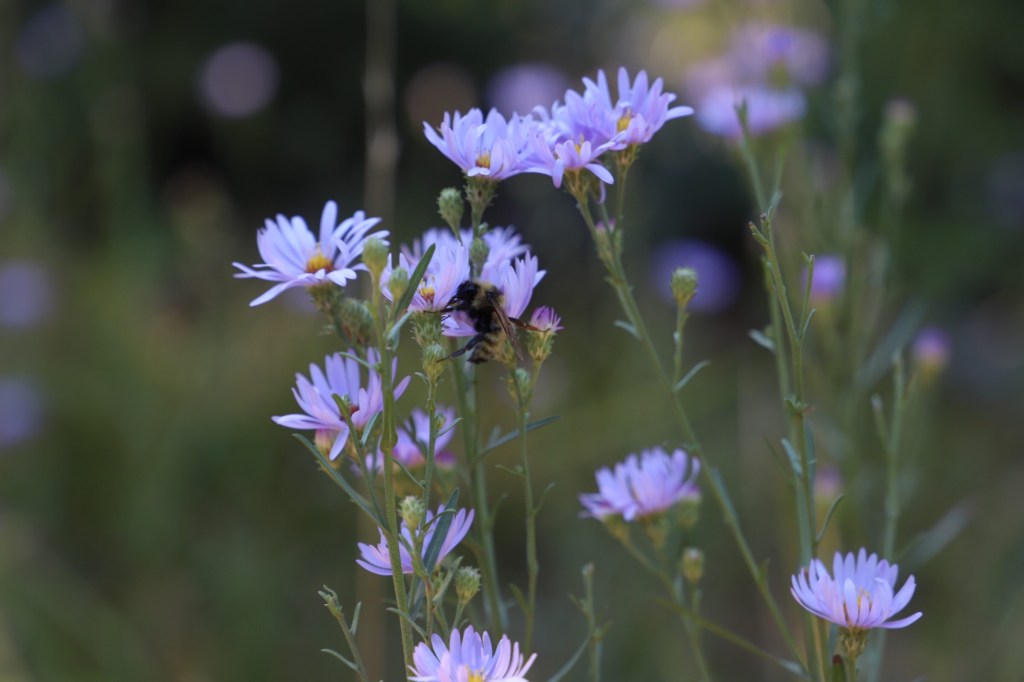 Weeding out the&nbsp;Garden